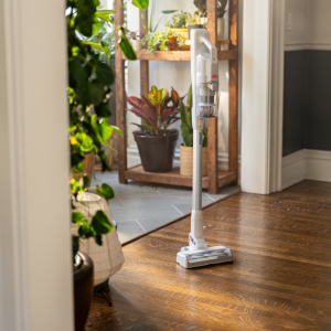 Varstolmuimeja Bissell PowerClean 4264n