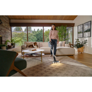 Varstolmuimeja Bissell PowerClean FurGuard 4093N