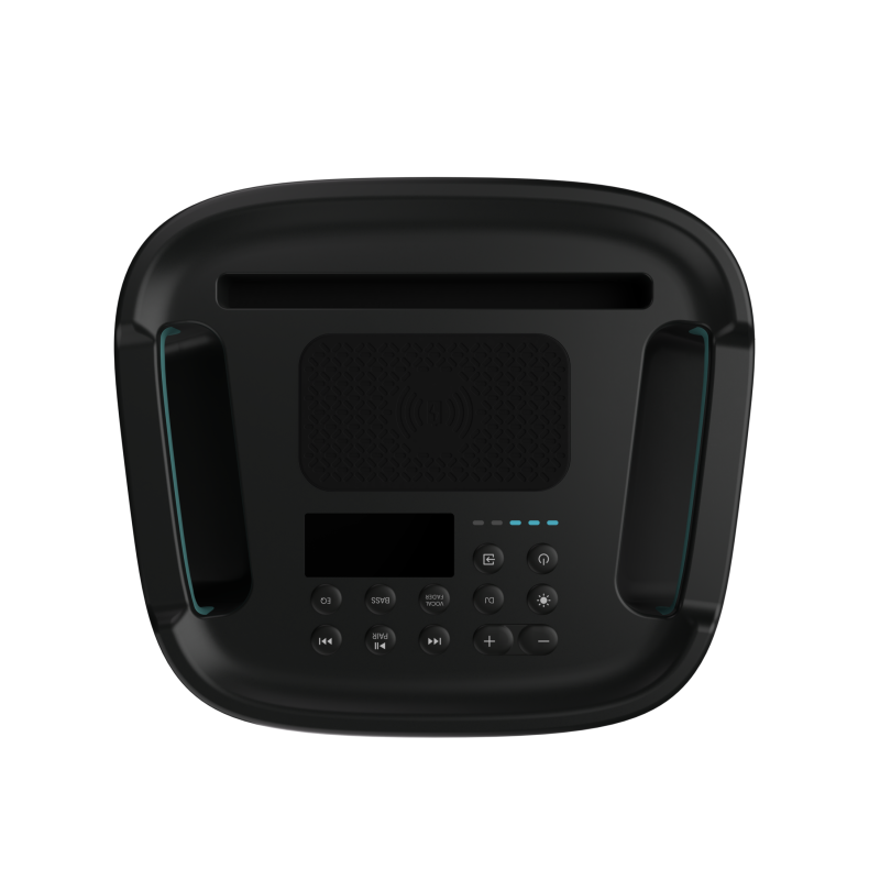 Kaasaskantav peokõlar Hisense